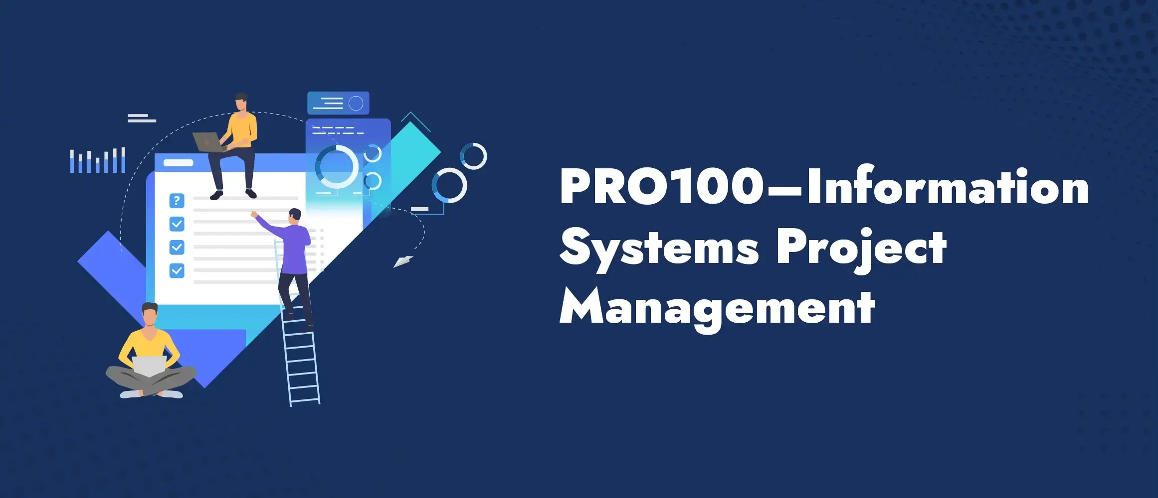 Pro100 Information Systems Project Management